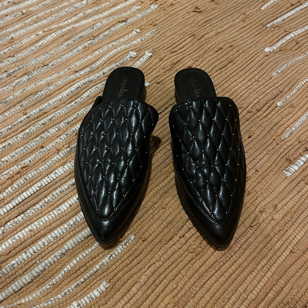 Charles David Flats - image 2